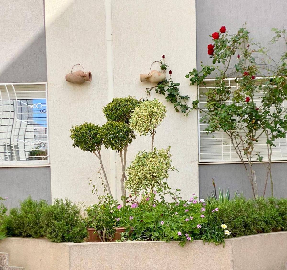 Casa Charm Falaise Monasztir Kültér fotó